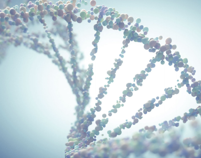 z6com·尊龙凯时生物科技有限公司